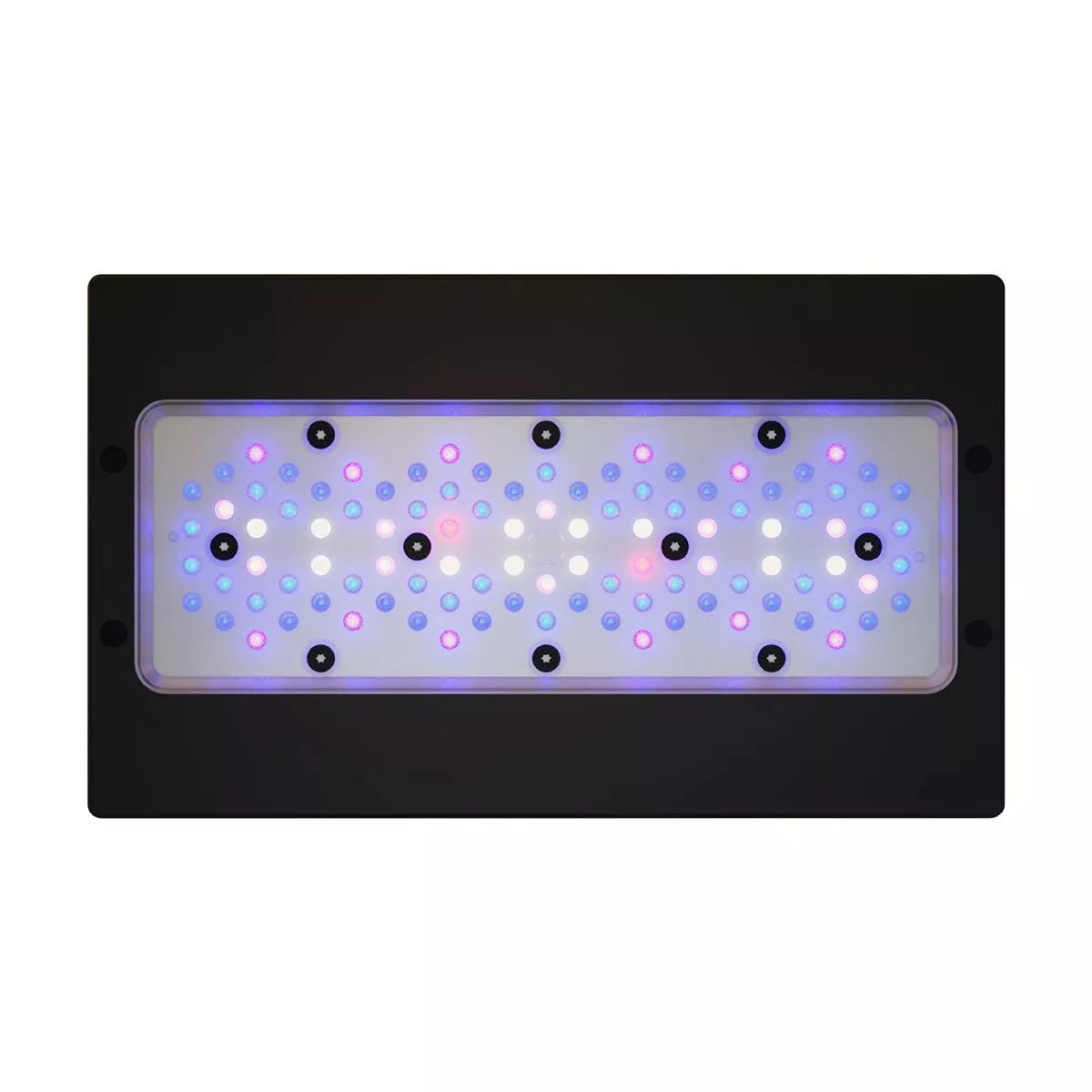 RADION XR30 G6 BLUE LED LIGHT