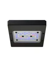 RADION XR15 G6 BLUE LED LIGHT